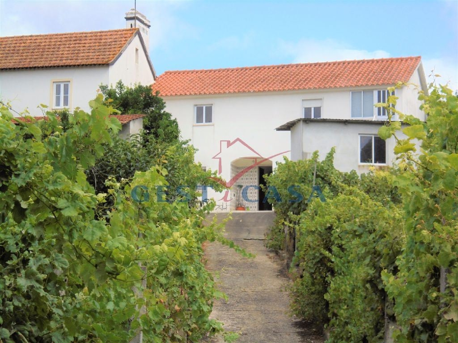 te koop huis Águas Belas Ferreira Do Zêzere 2
