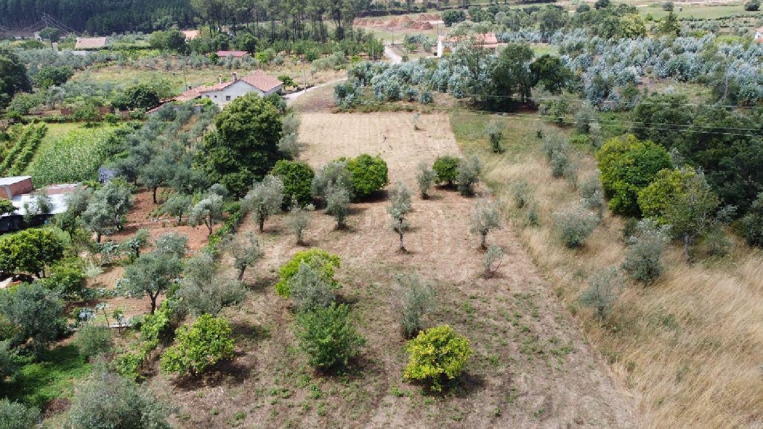 à vendre maison Águas Belas Ferreira Do Zêzere 3