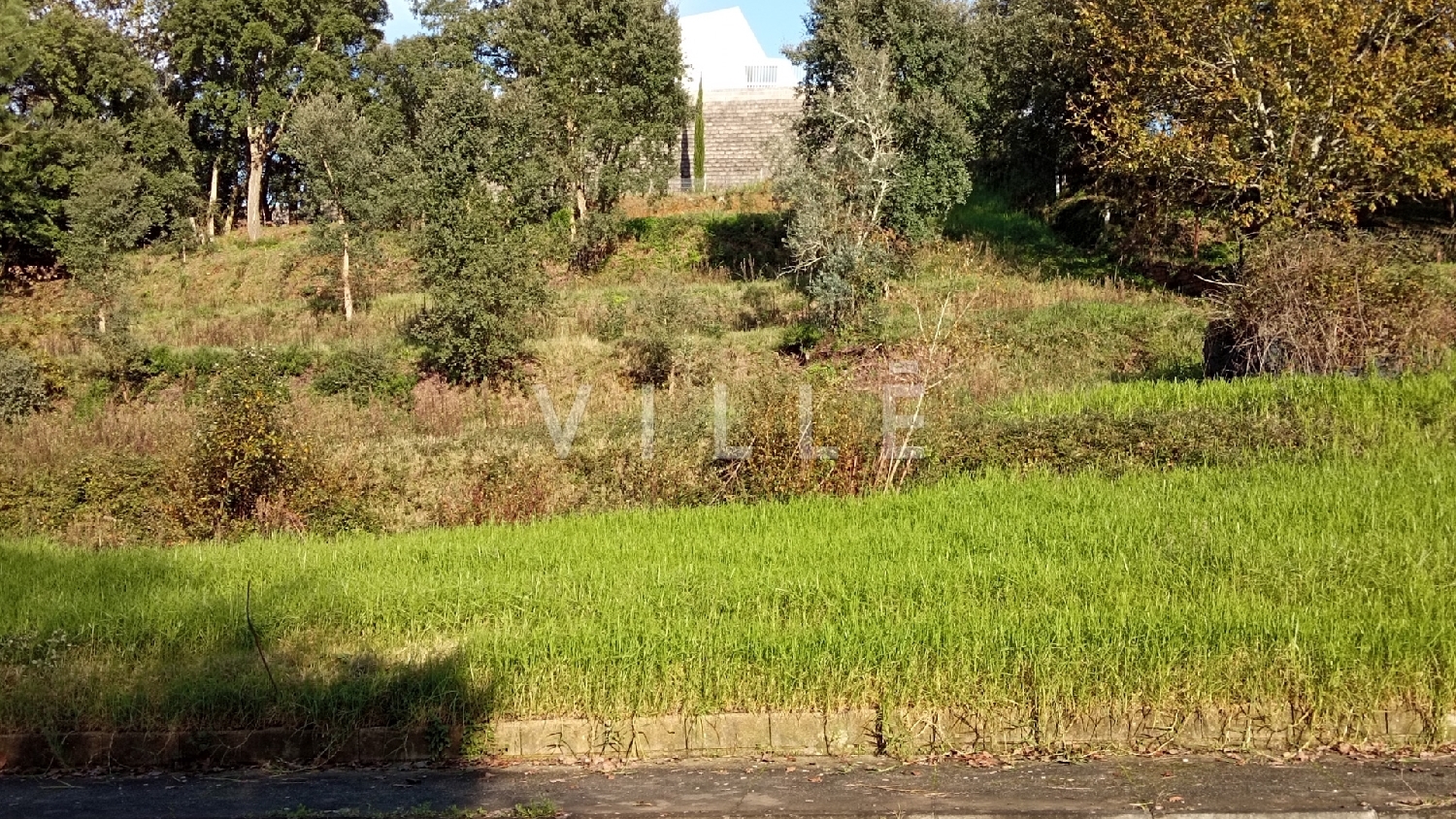  te koop huis Águeda Águeda 4