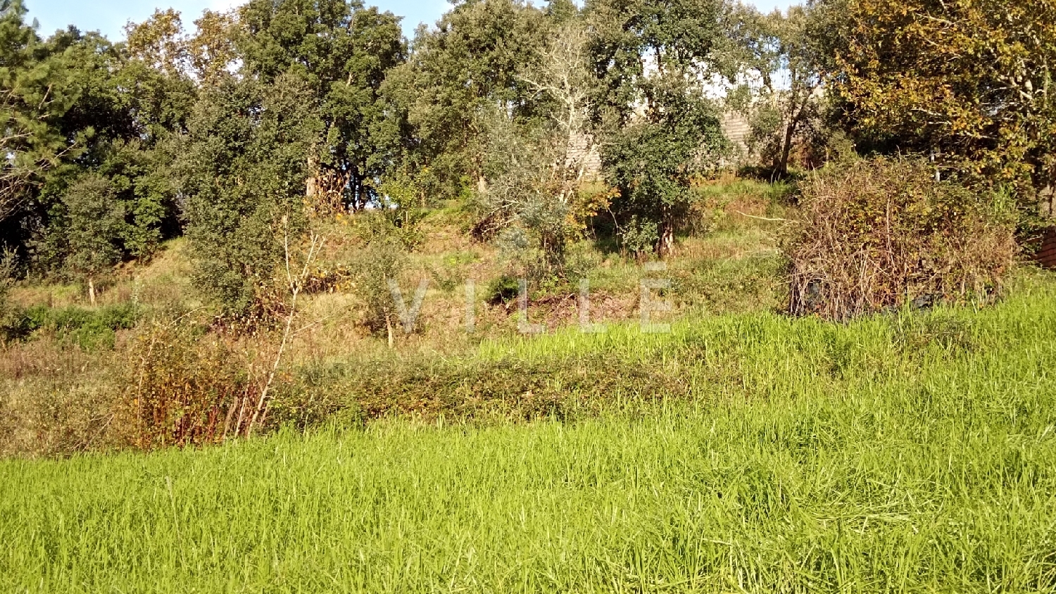  te koop huis Águeda Águeda 5