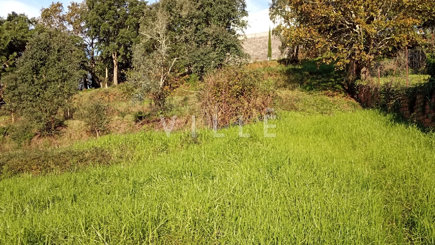  te koop huis Águeda Águeda 6