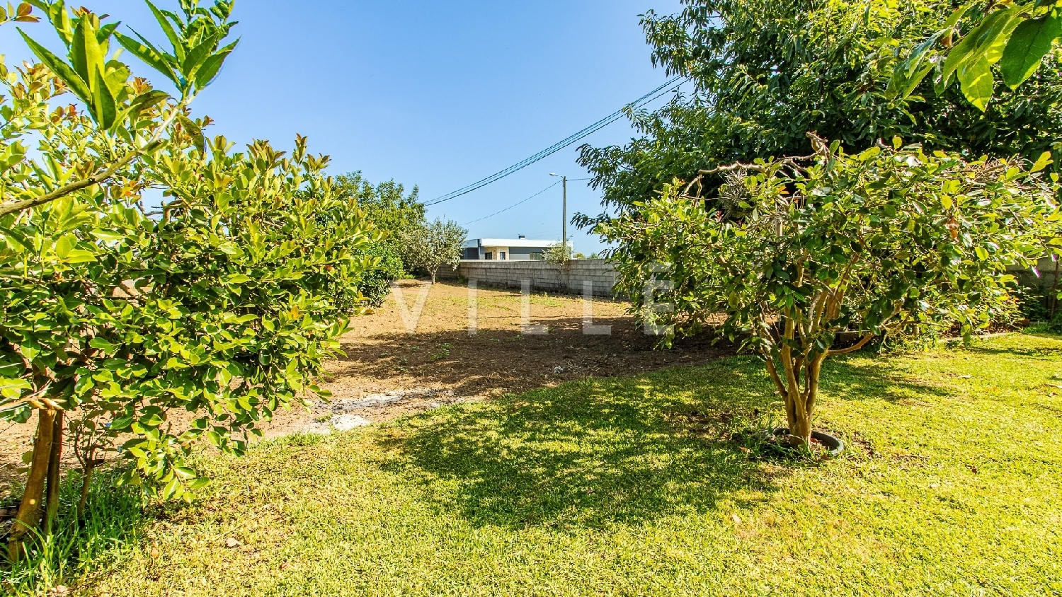  te koop huis Águeda Águeda 1