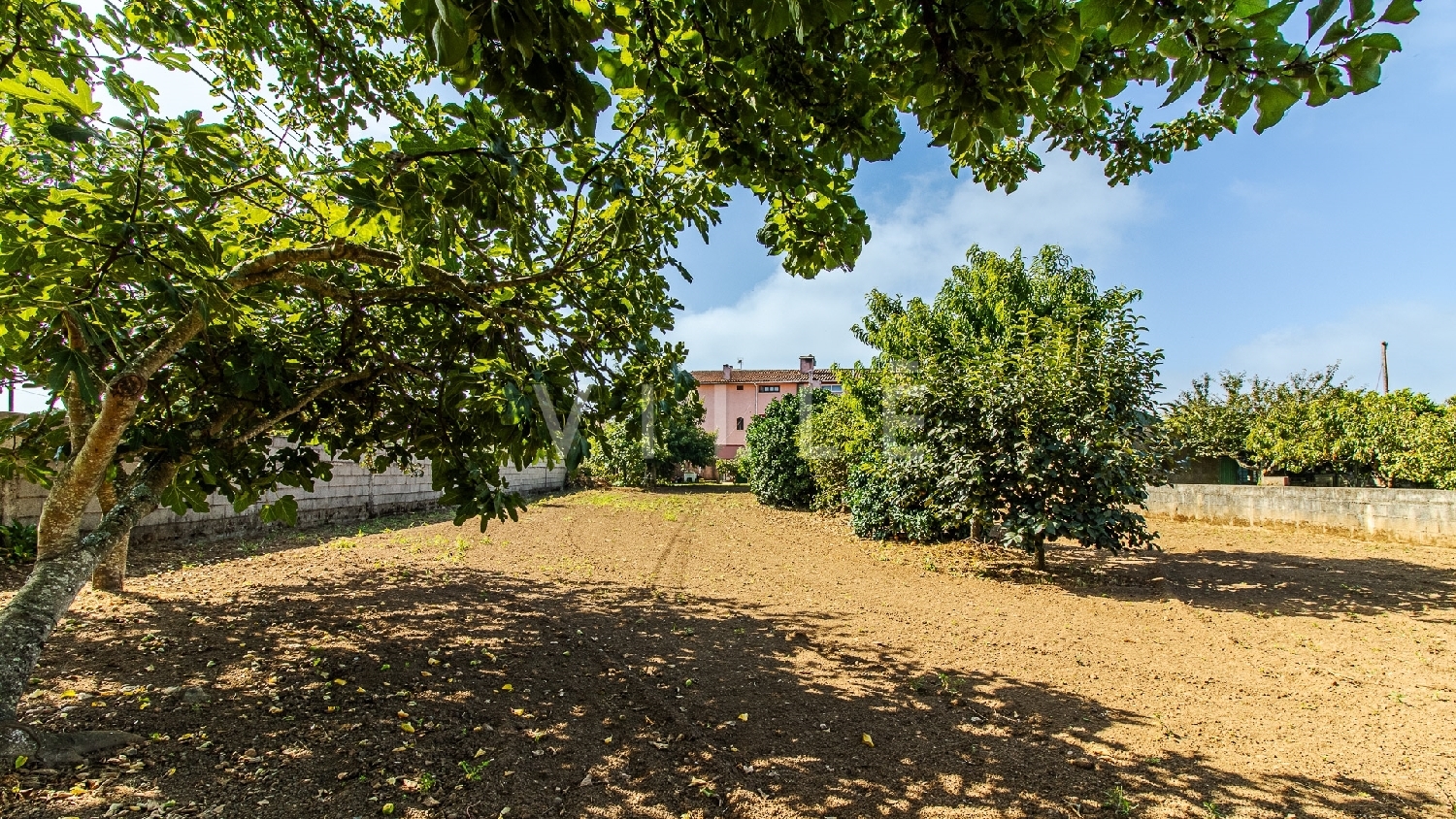  te koop huis Águeda Águeda 7