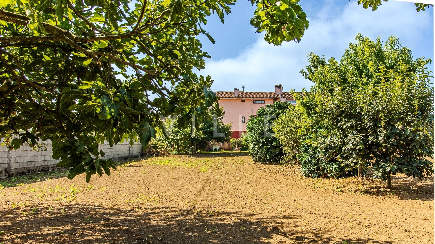  te koop huis Águeda Águeda 8