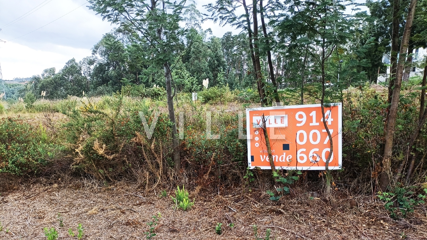  te koop huis Albergaria-A-Velha Albergaria-A-Velha 6