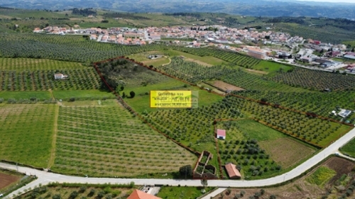 Alfândega da Fé Alfândega Da Fé casa foto 320161