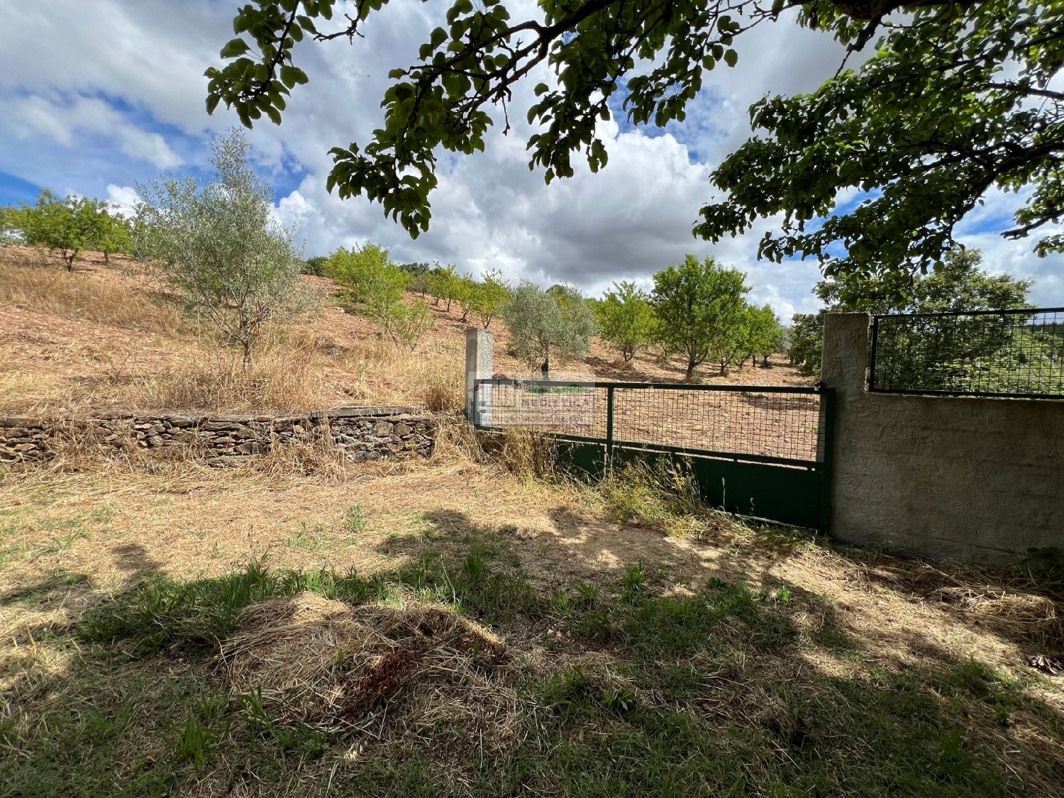 à vendre maison Alfândega da Fé Alfândega Da Fé 3