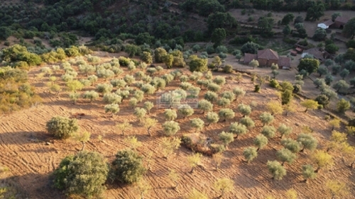 Alfândega da Fé Alfândega Da Fé casa foto 320165