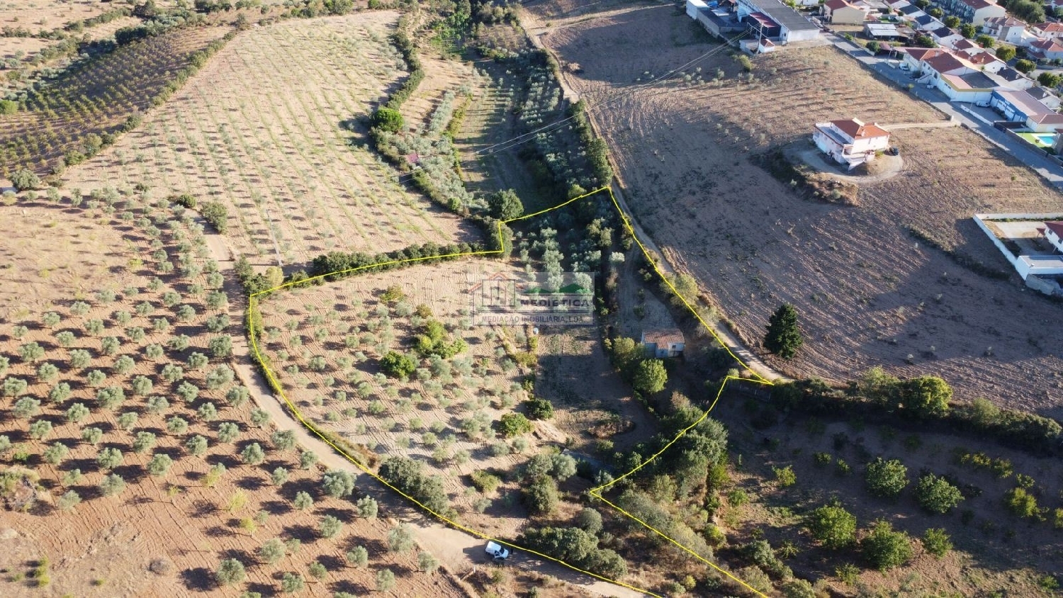 à venda casa Alfândega da Fé Alfândega Da Fé 2