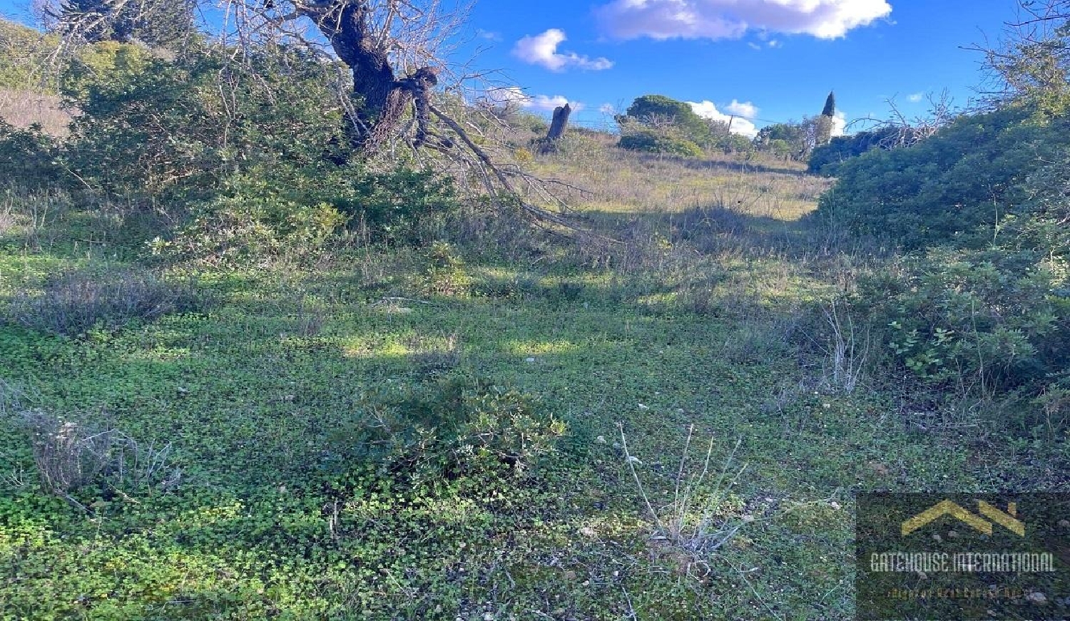 te koop huis Almancil Loulé 3