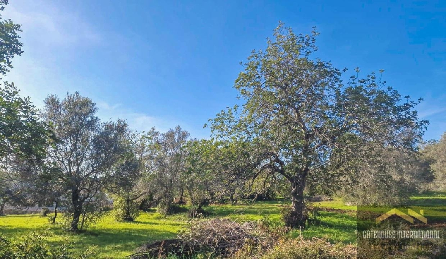 te koop huis Almancil Loulé 2