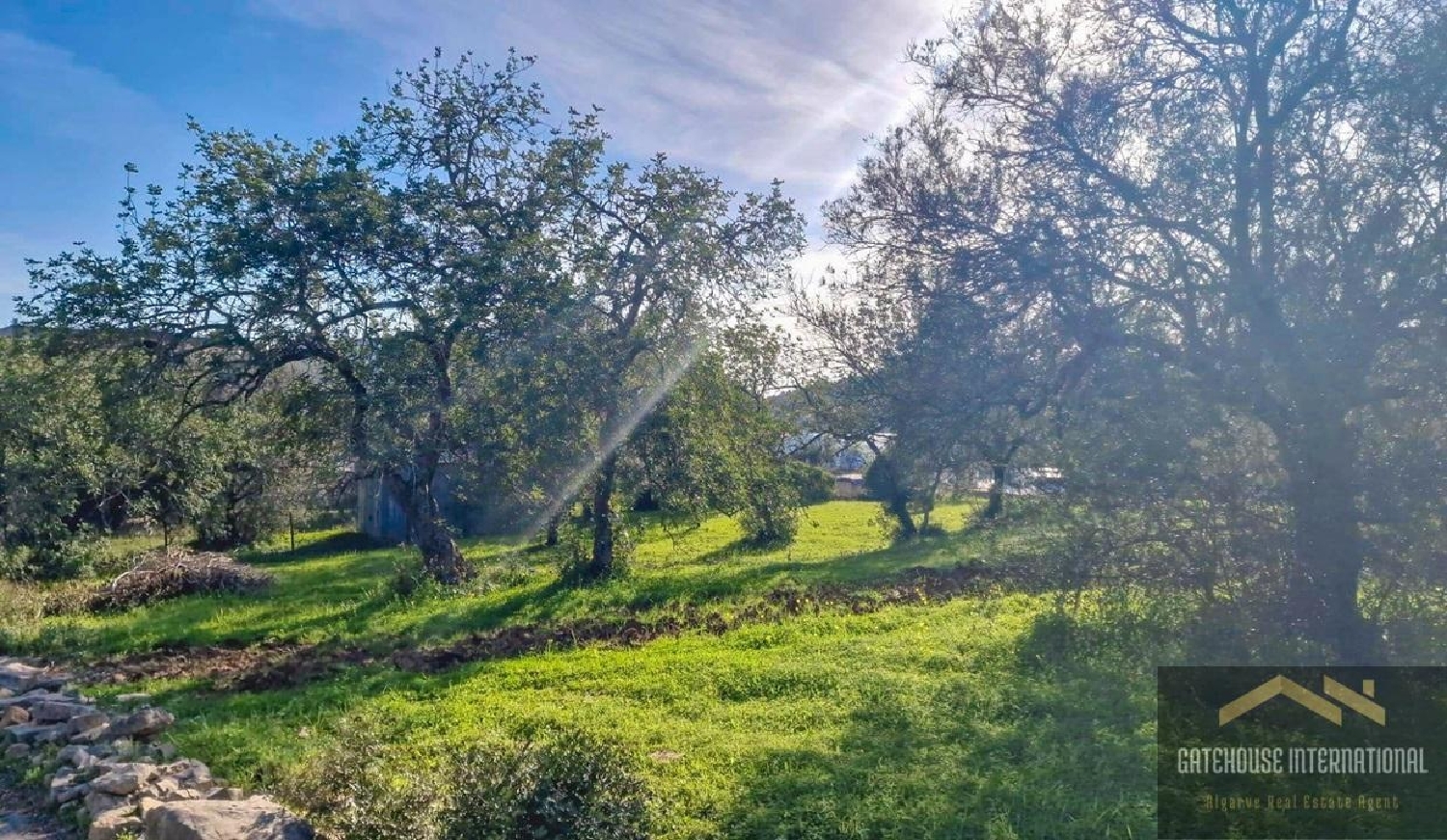 te koop huis Almancil Loulé 3