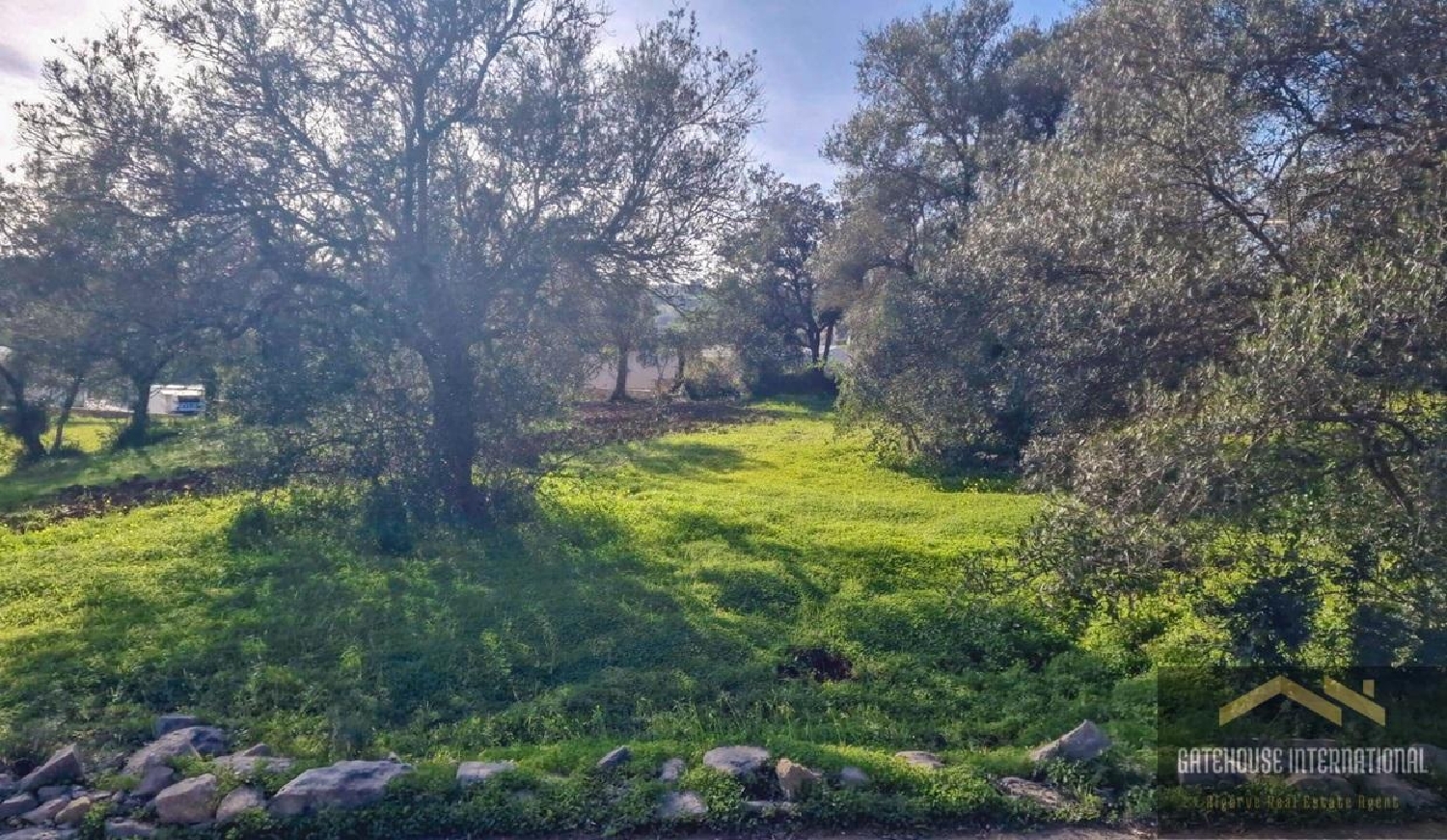  te koop huis Almancil Loulé 4