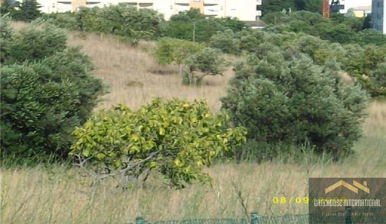  à venda casa Almancil Loulé 8