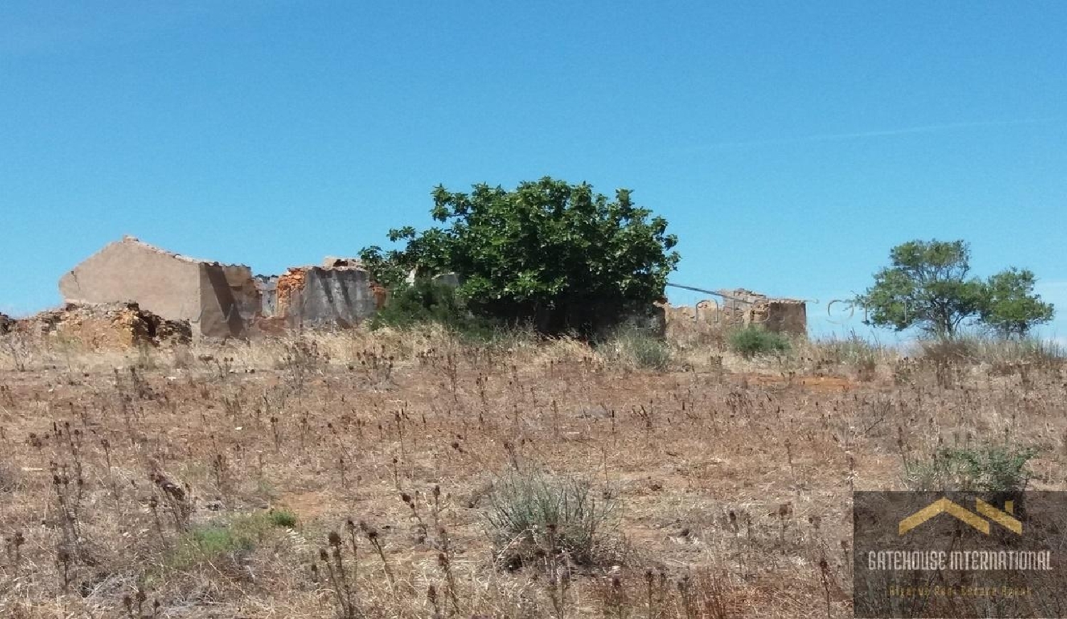  kaufen Haus Almancil Loulé 1