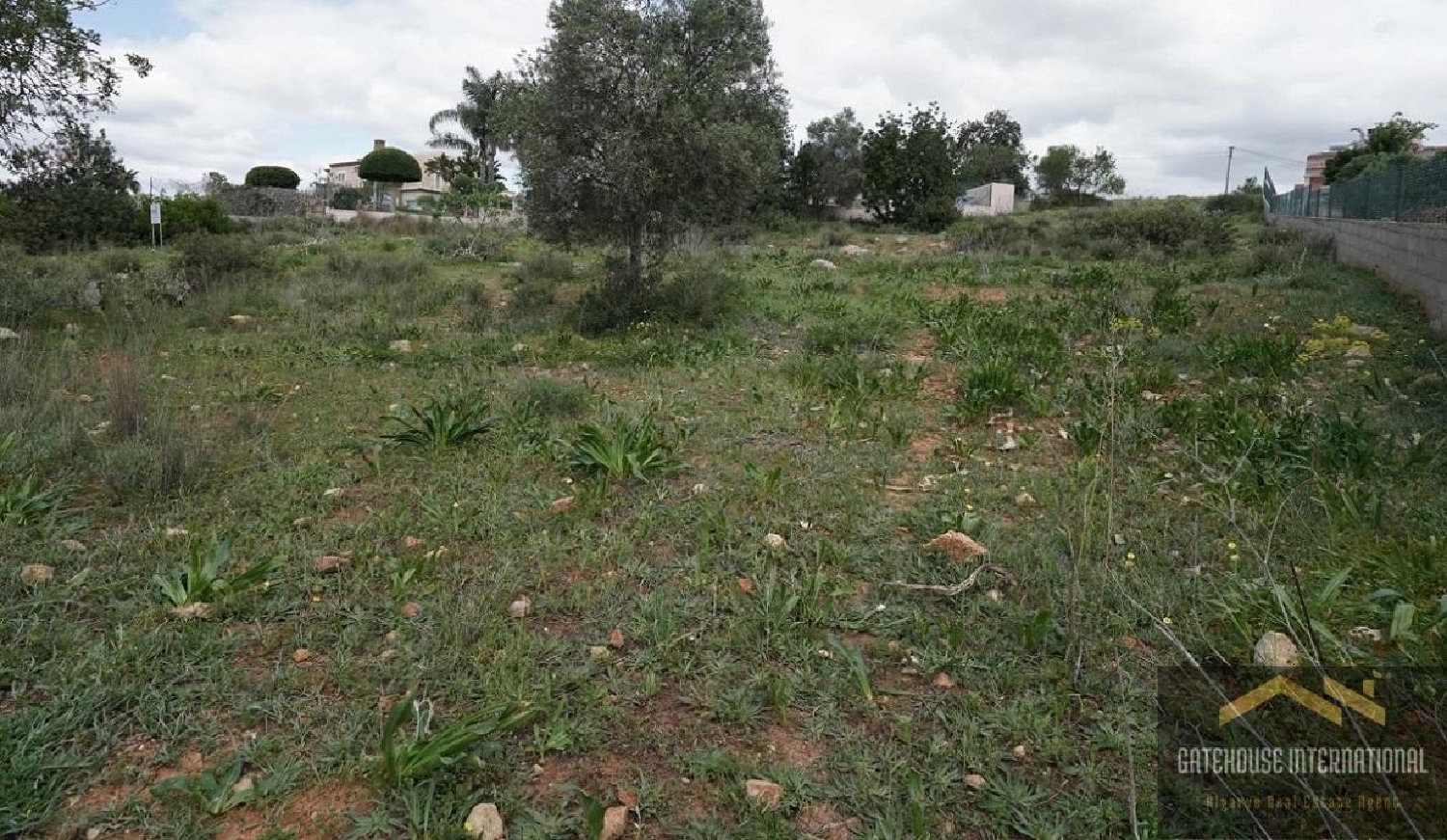  kaufen Haus Almancil Loulé 1