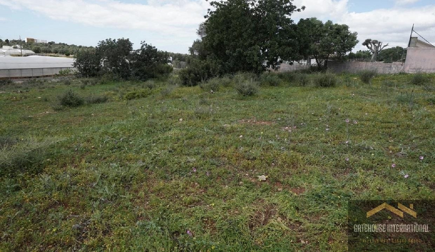 kaufen Haus Almancil Loulé 3