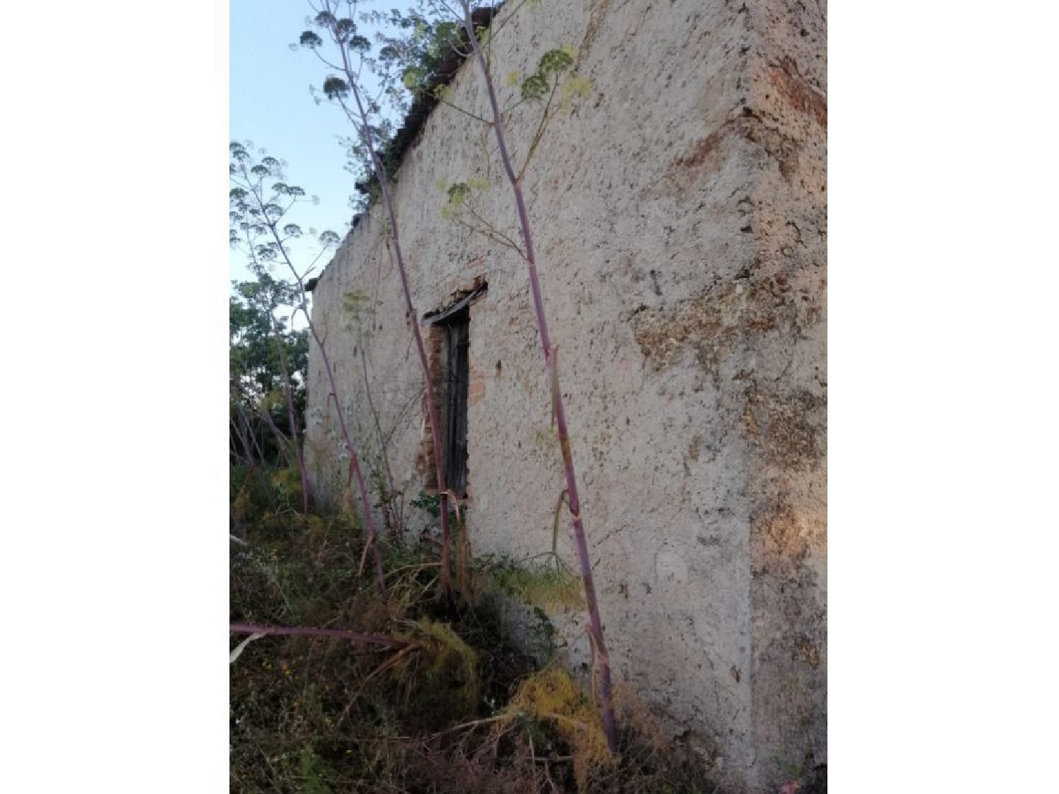  à vendre maison Alpalhão Nisa 3