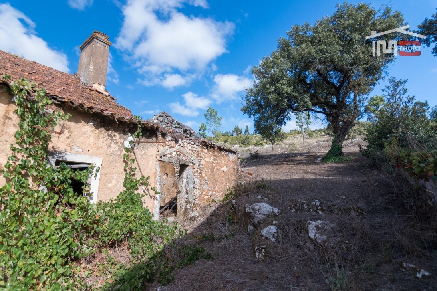 kaufen Haus Alqueidão da Serra Porto De Mós 2