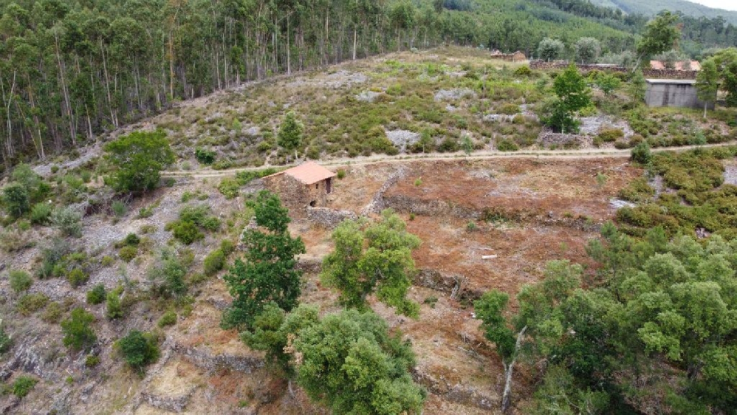 for sale house Alvares Góis 3