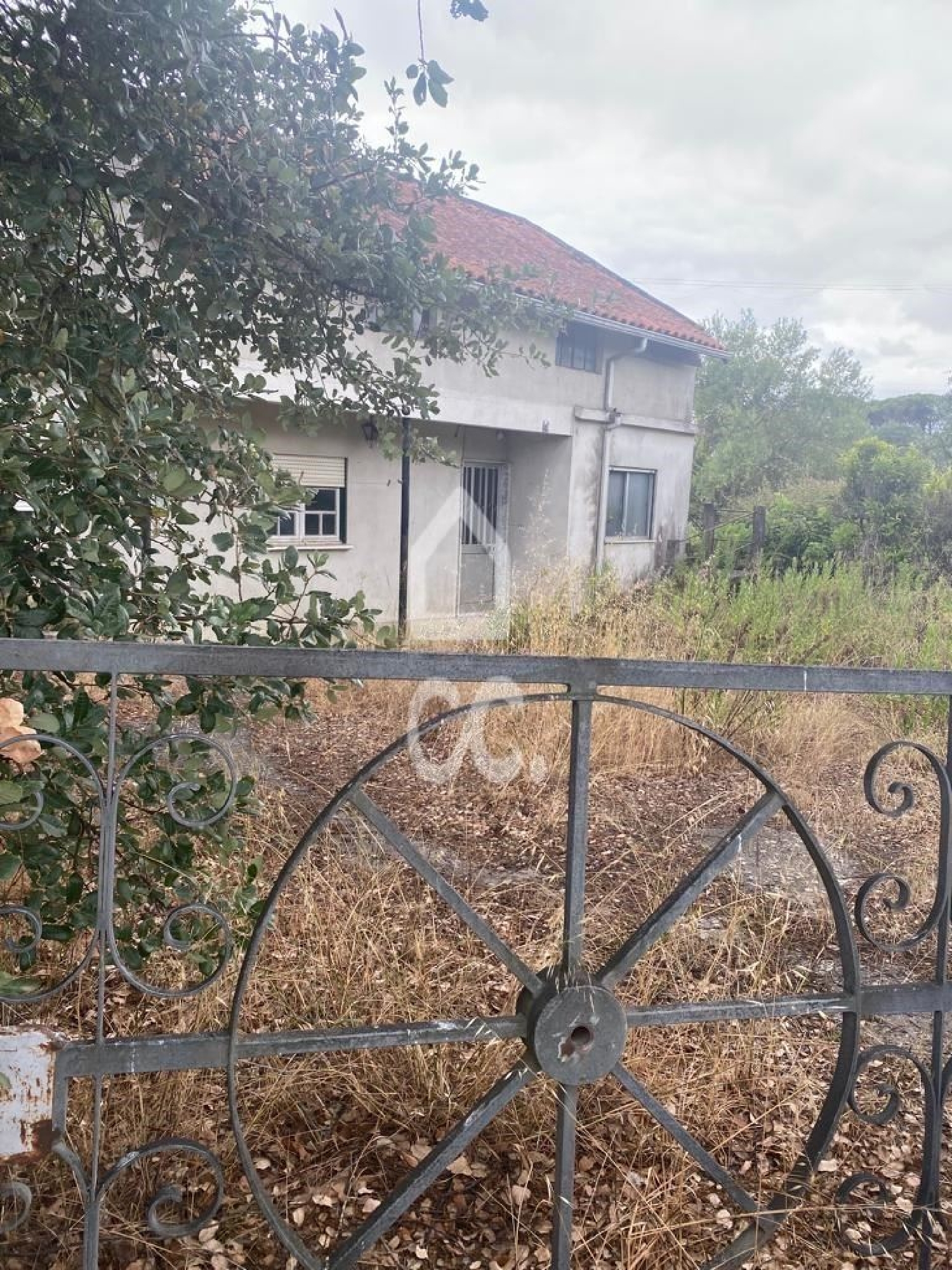  for sale house Alviobeira Tomar 1