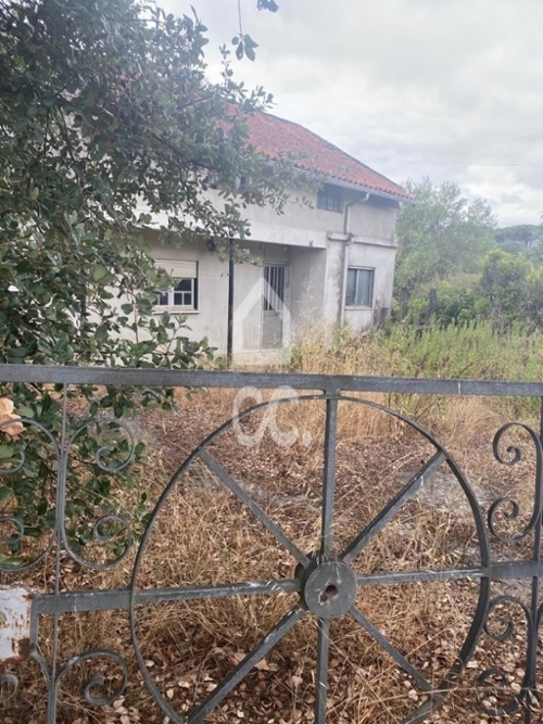 Alviobeira Tomar house foto 323464