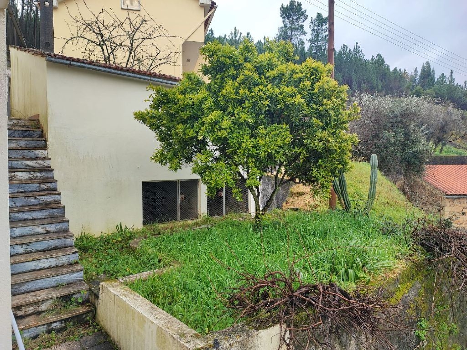 for sale house Alvito da Beira Proença-A-Nova 3