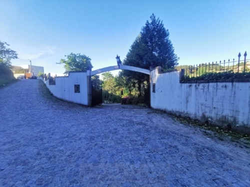 Amarante Amarante casa foto 320113