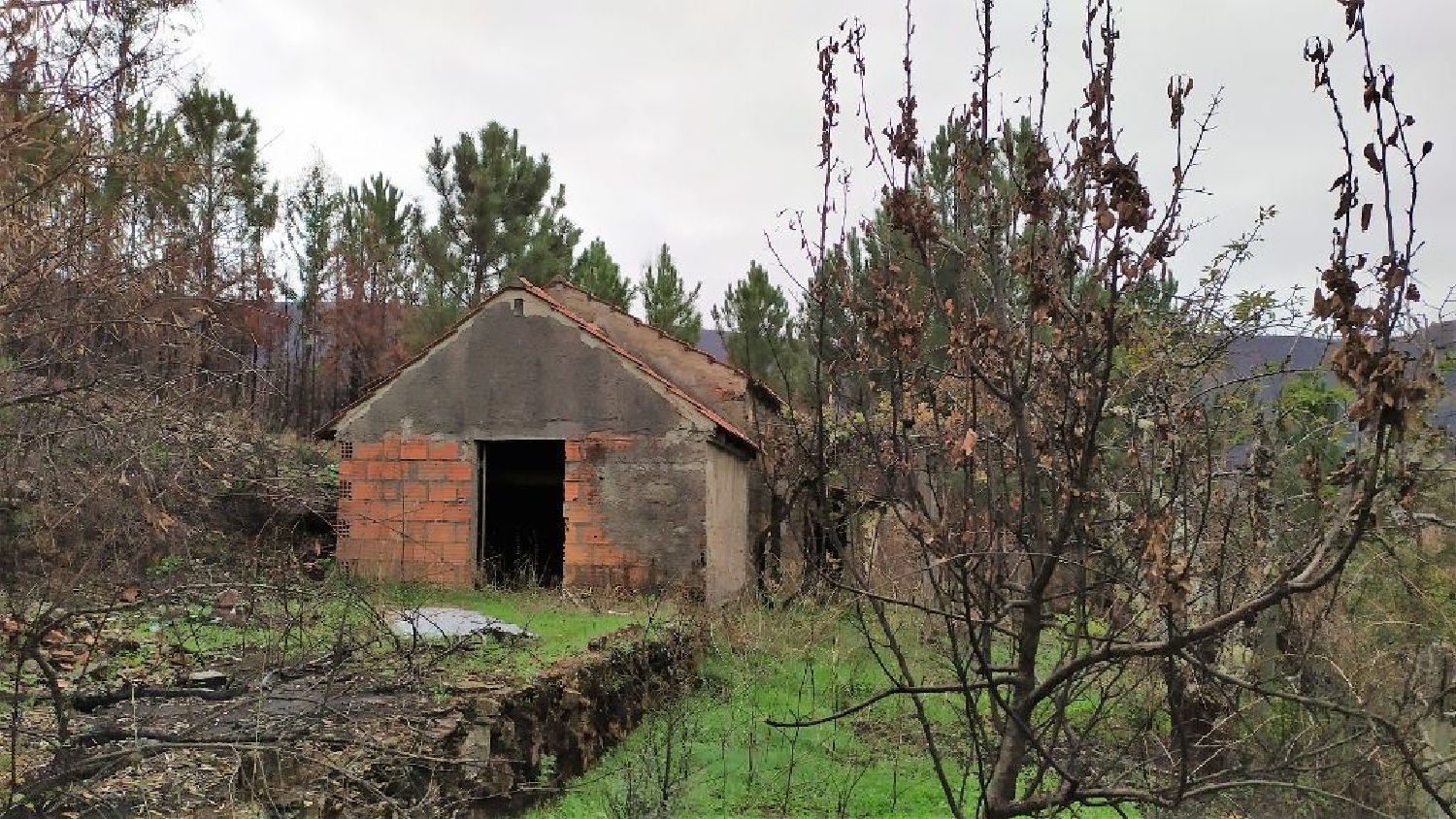 à venda casa Amieira Oleiros 2