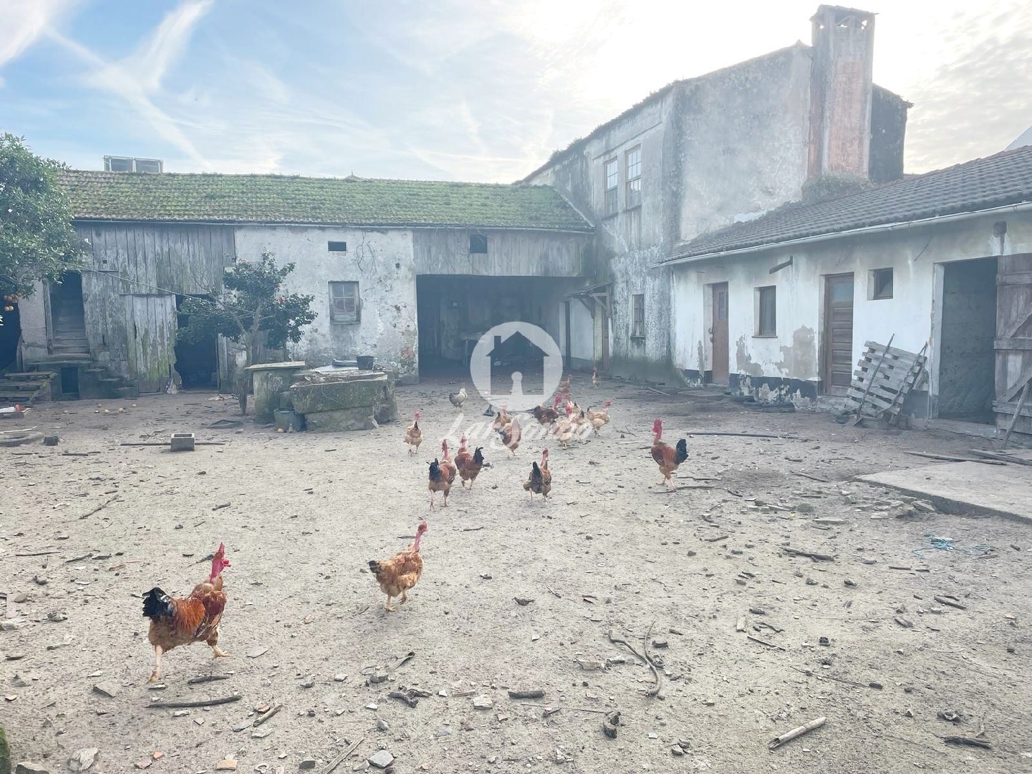  te koop huis Apúlia Esposende 1