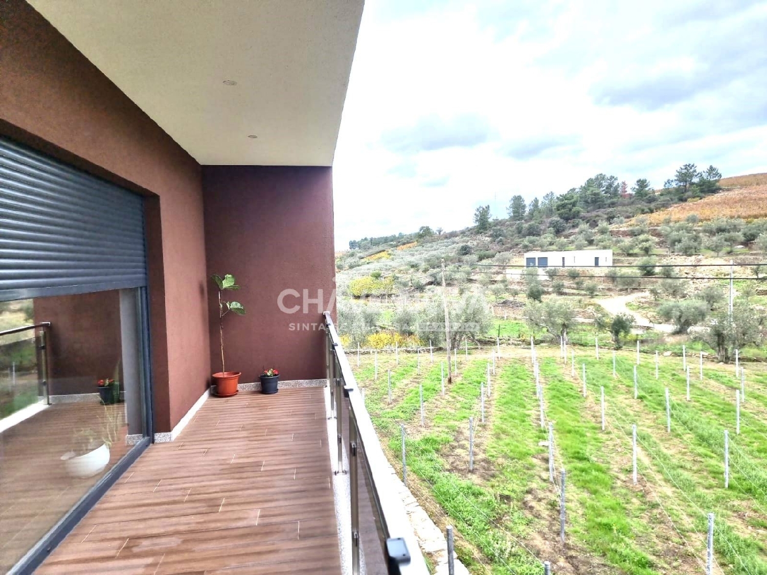 kaufen Haus Arcos Tabuaço 2