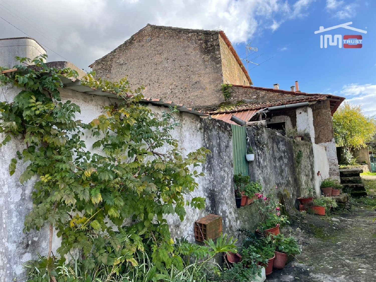 for sale house Areias Ferreira Do Zêzere 3