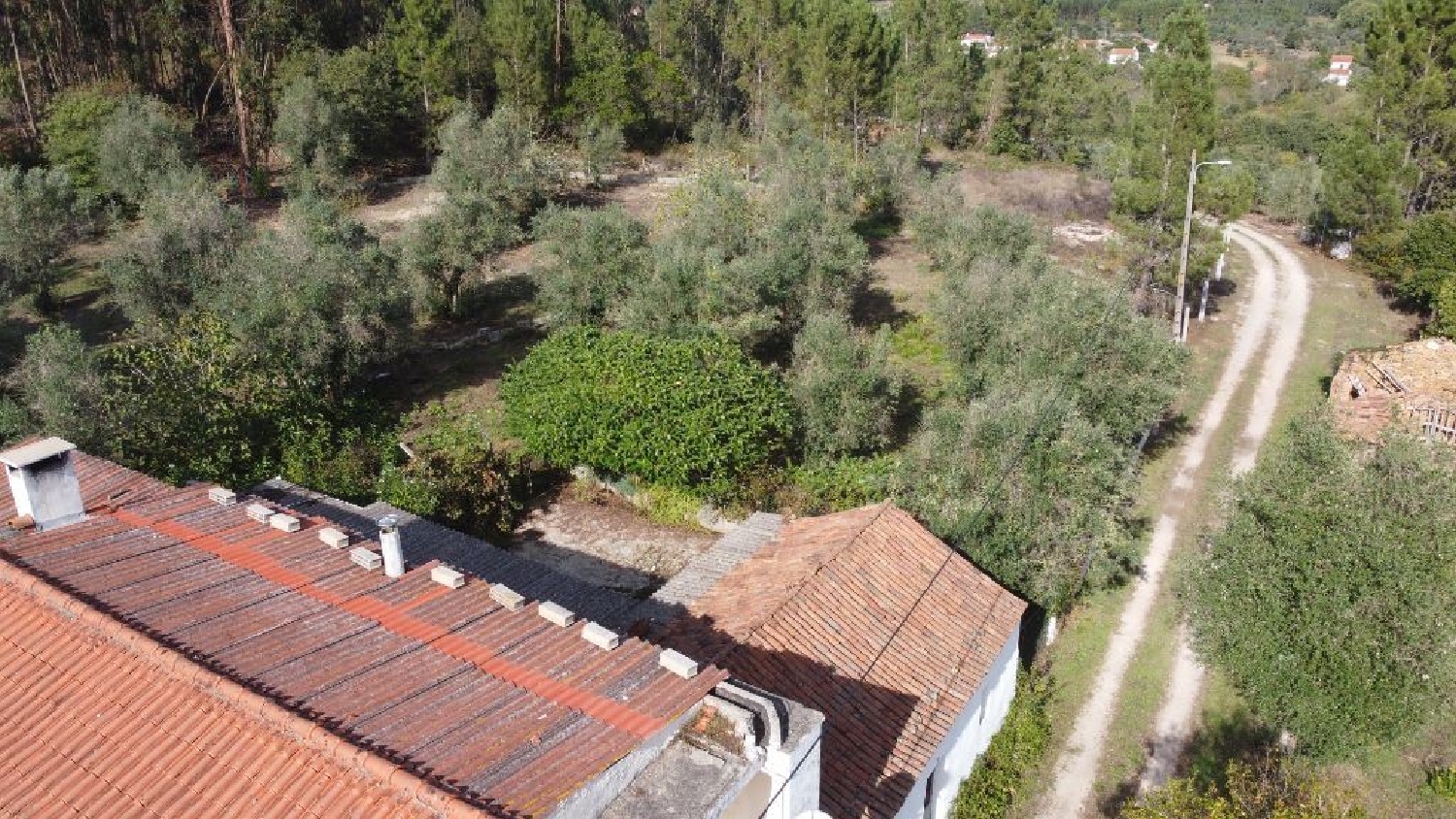kaufen Haus Areias Ferreira Do Zêzere 3