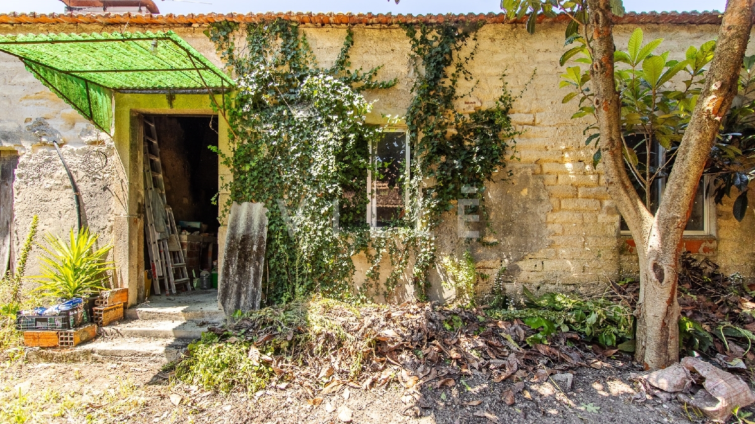  à venda casa Aveiro Aveiro 1
