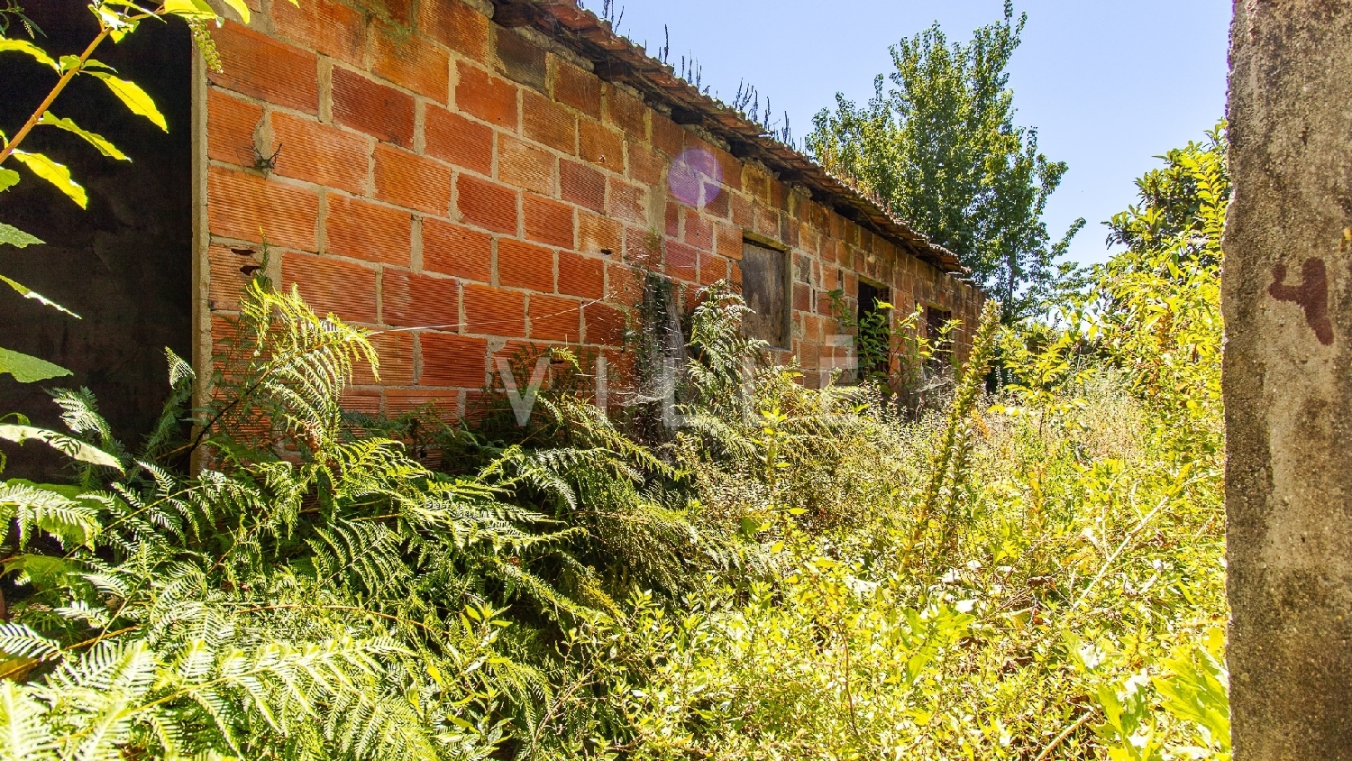  à venda casa Aveiro Aveiro 8