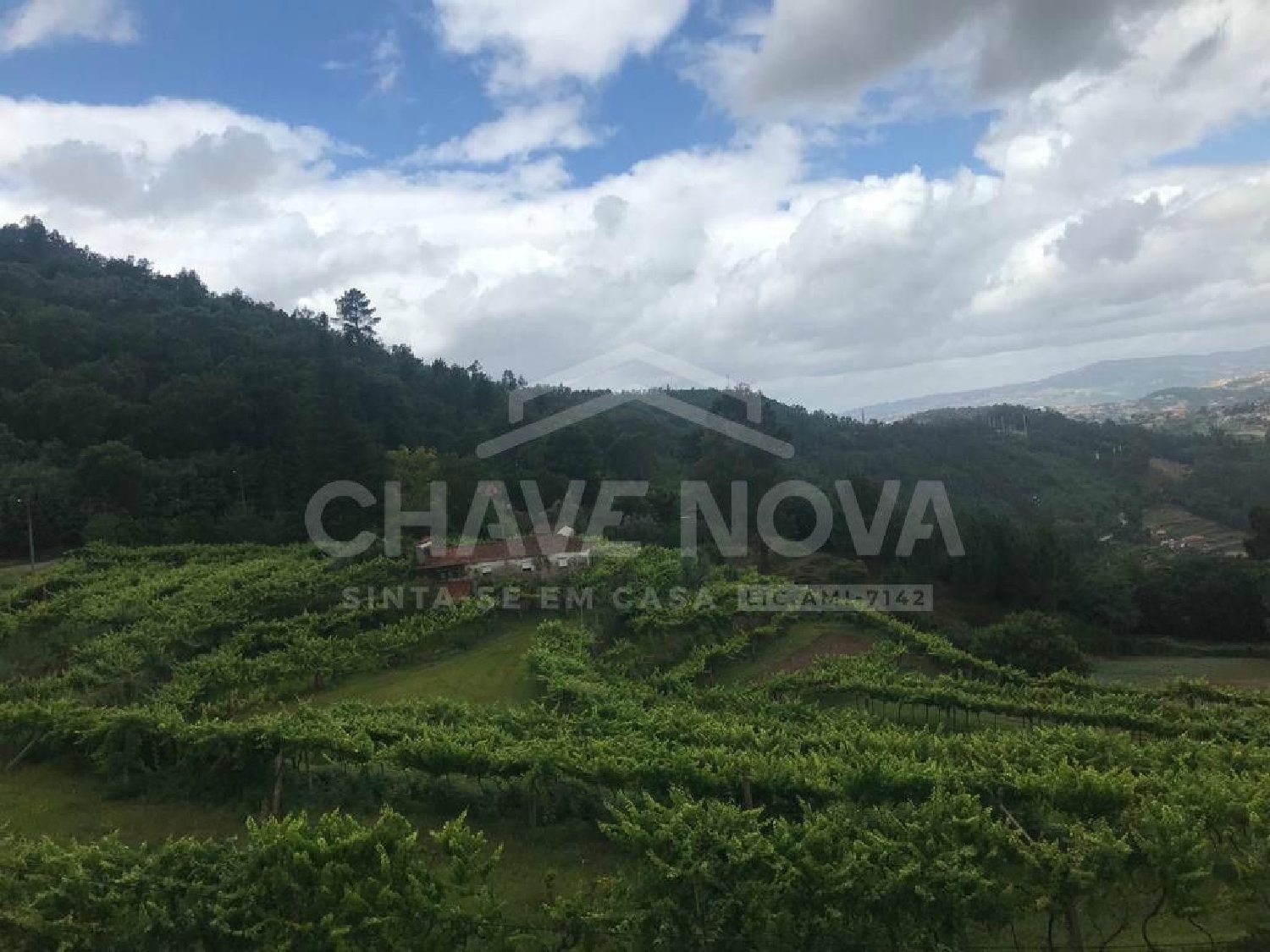  for sale house Bairros Castelo De Paiva 3