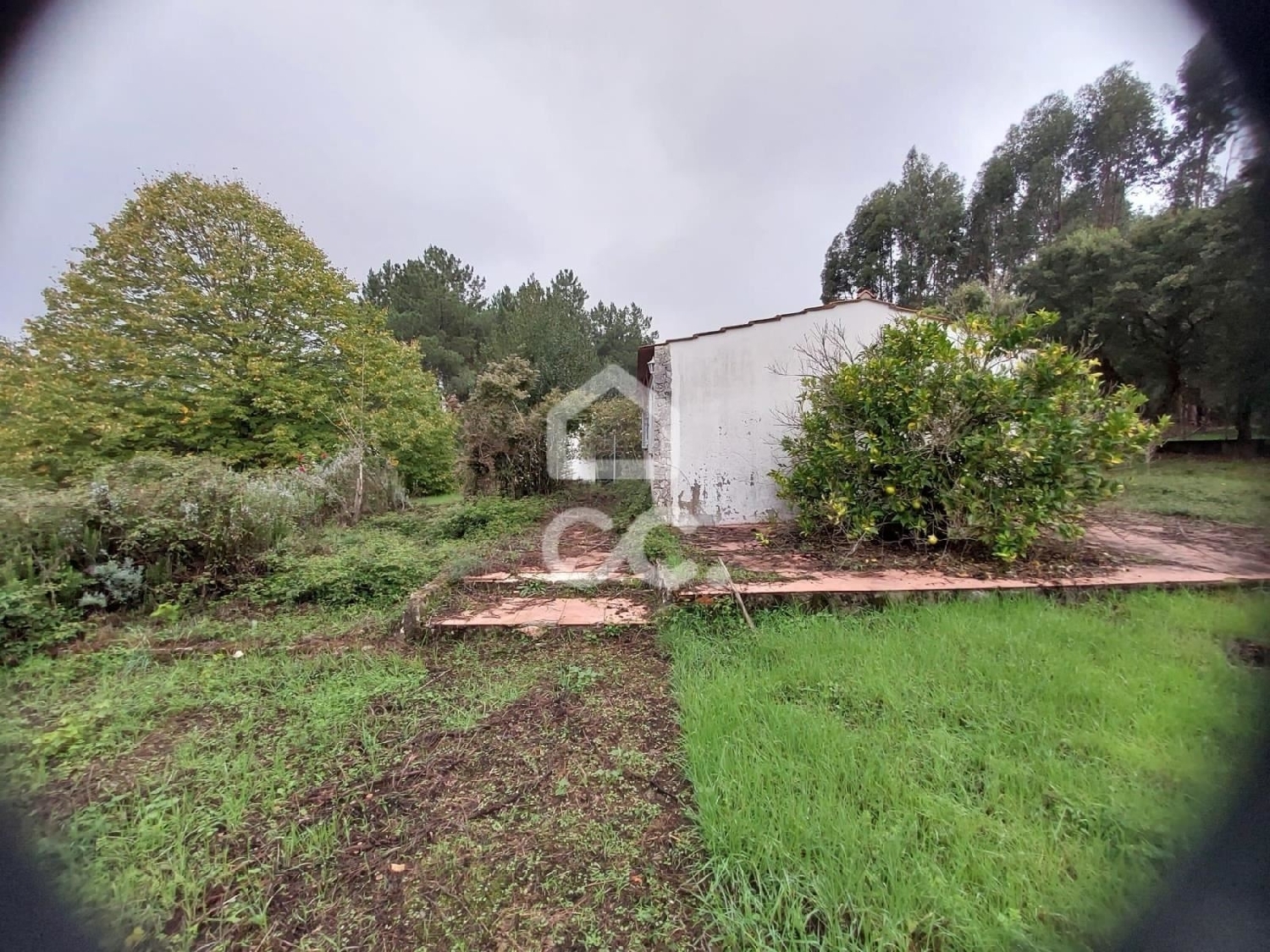  kaufen Haus Barcai Ferreira Do Zêzere 3