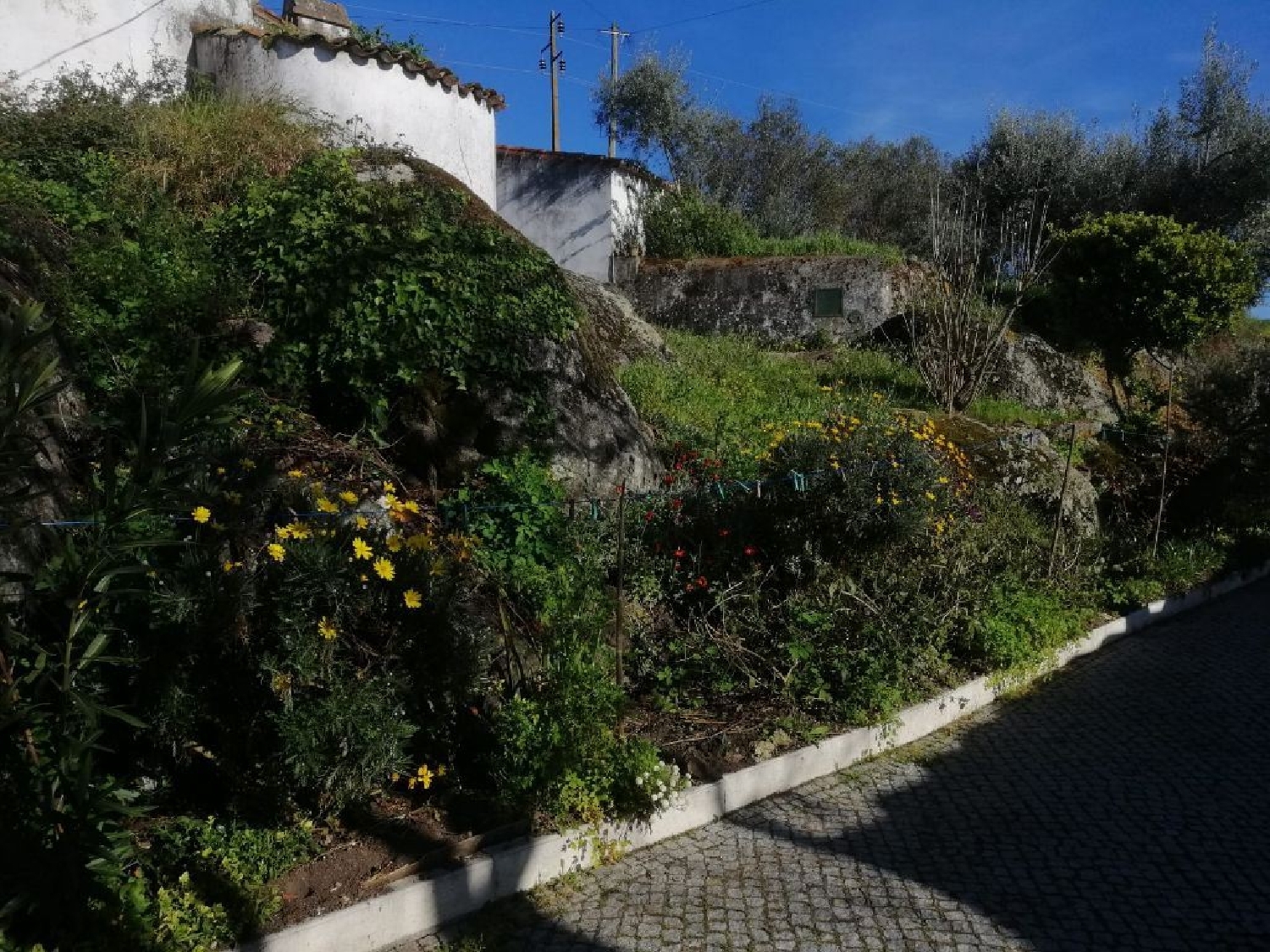  te koop huis Beirã Marvão 3