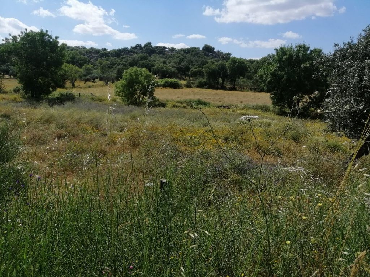  te koop huis Beirã Marvão 2