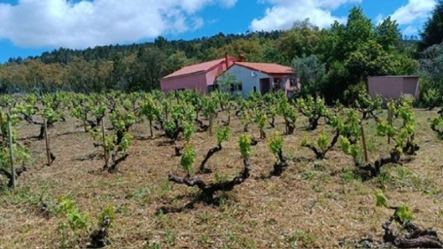 Beirã Marvão huis foto 327490