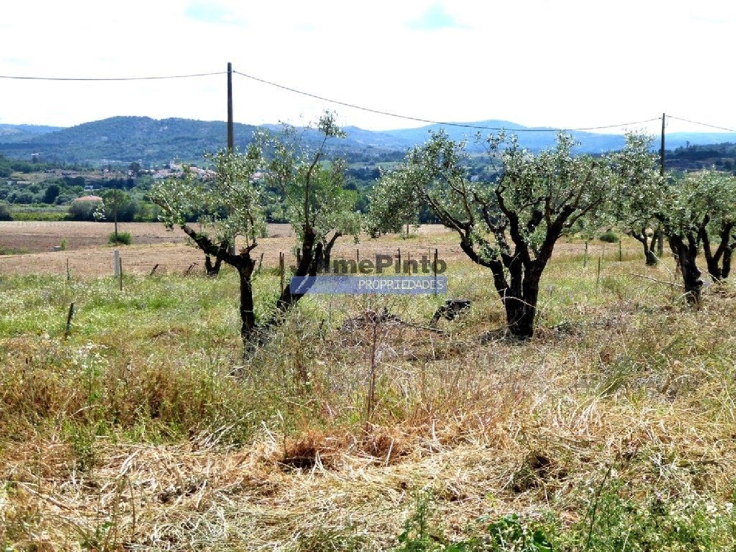  for sale house Belmonte Belmonte 1