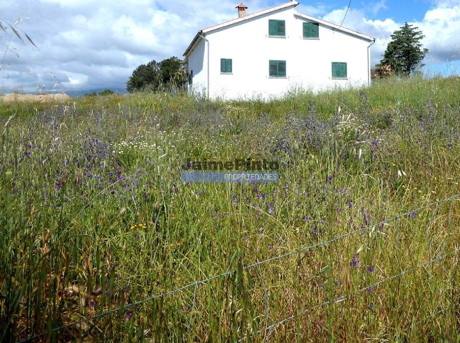  for sale house Belmonte Belmonte 2