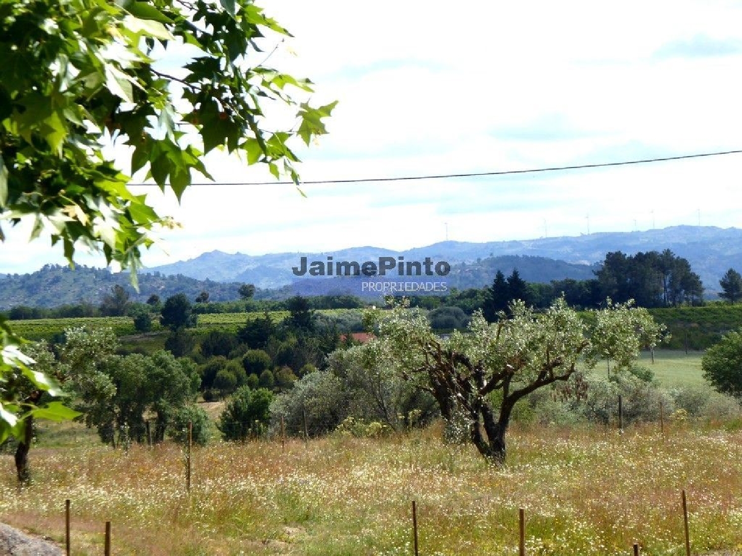  for sale house Belmonte Belmonte 3