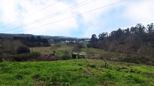 Boim Lousada casa foto 320266