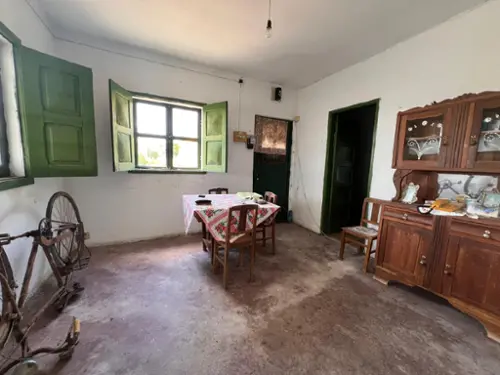 Botão Coimbra hus foto 316441