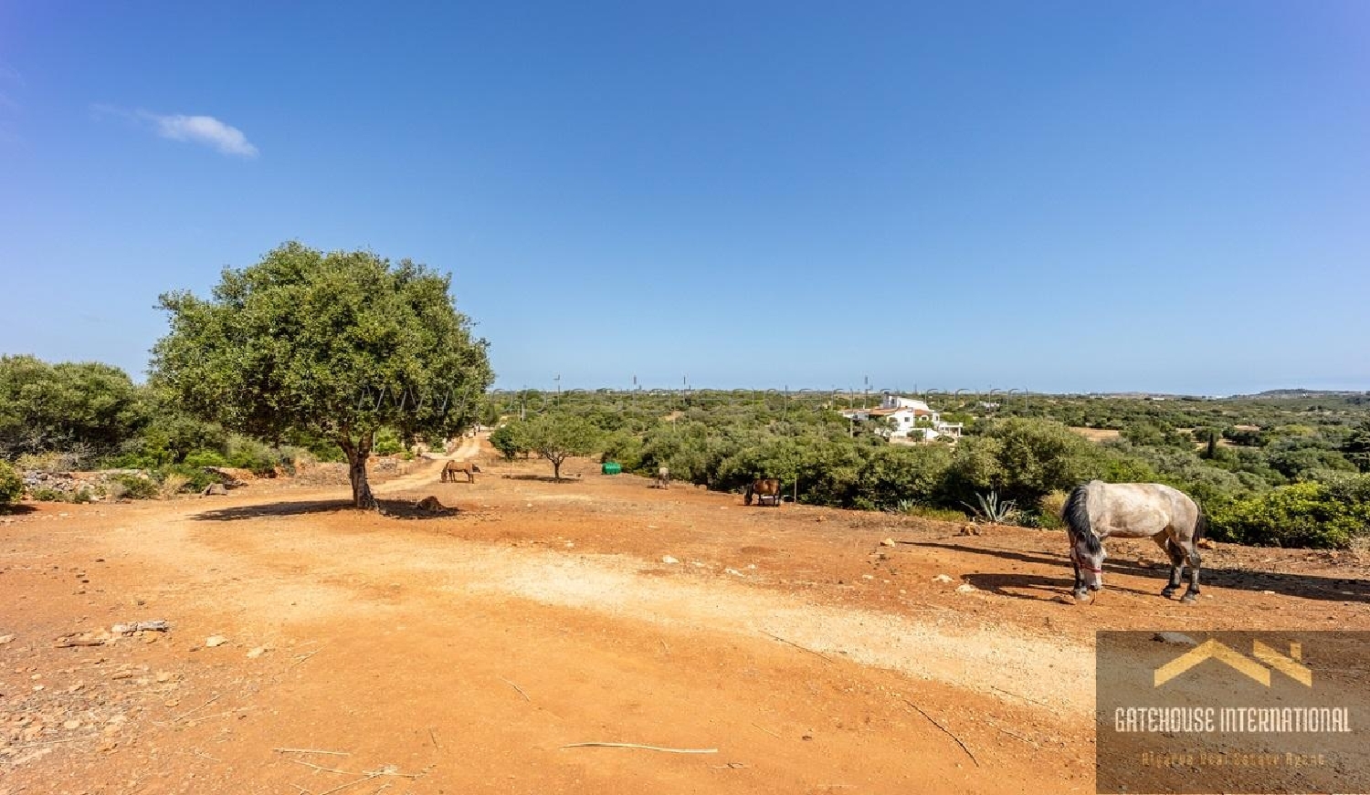  à venda casa Budens Vila Do Bispo 5