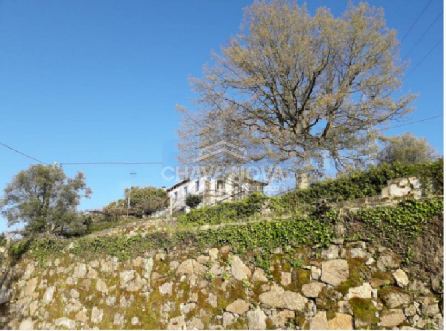  te koop huis Burgães Santo Tirso 1