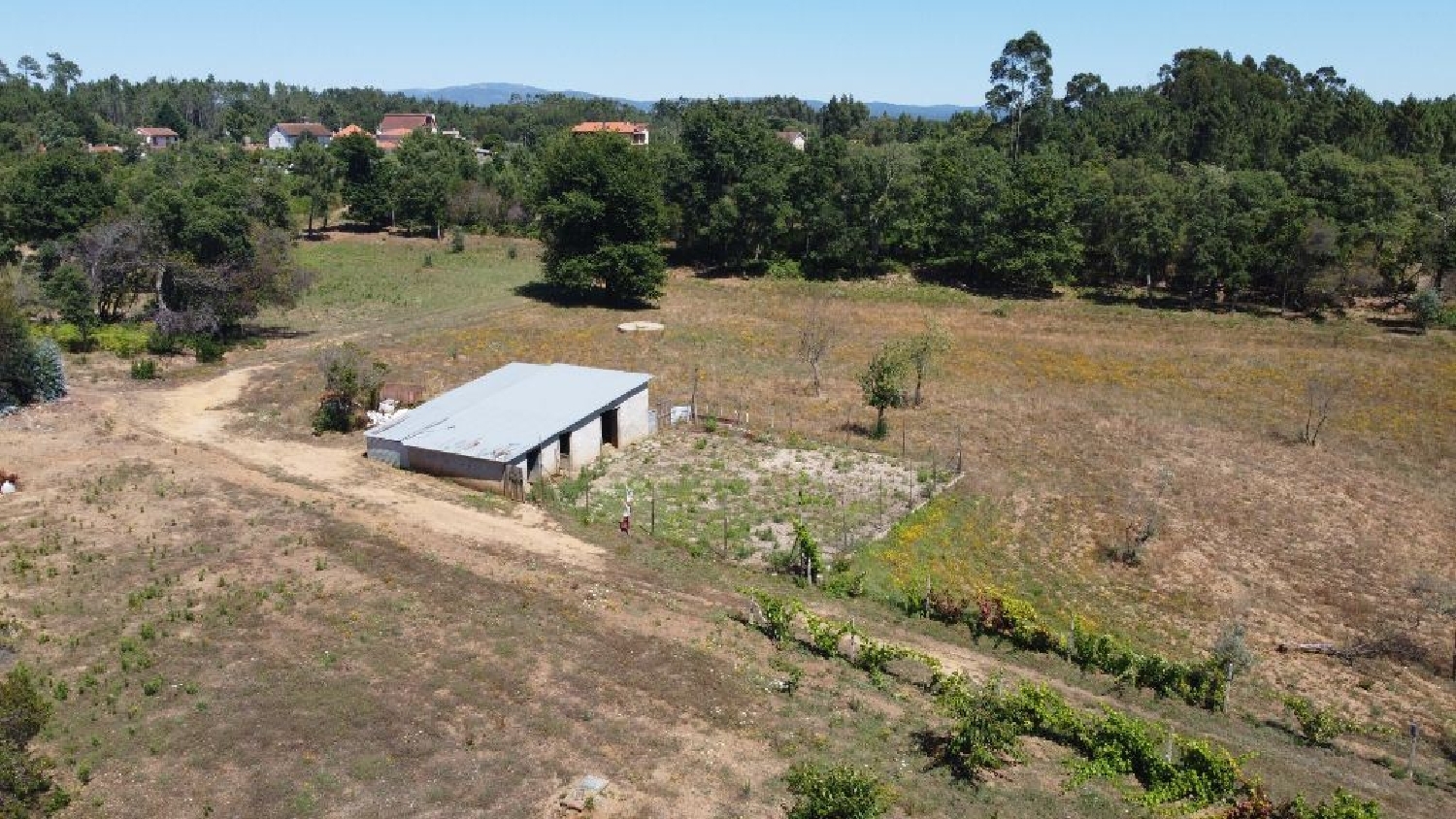 à vendre maison Cabeçudo Sertã 3