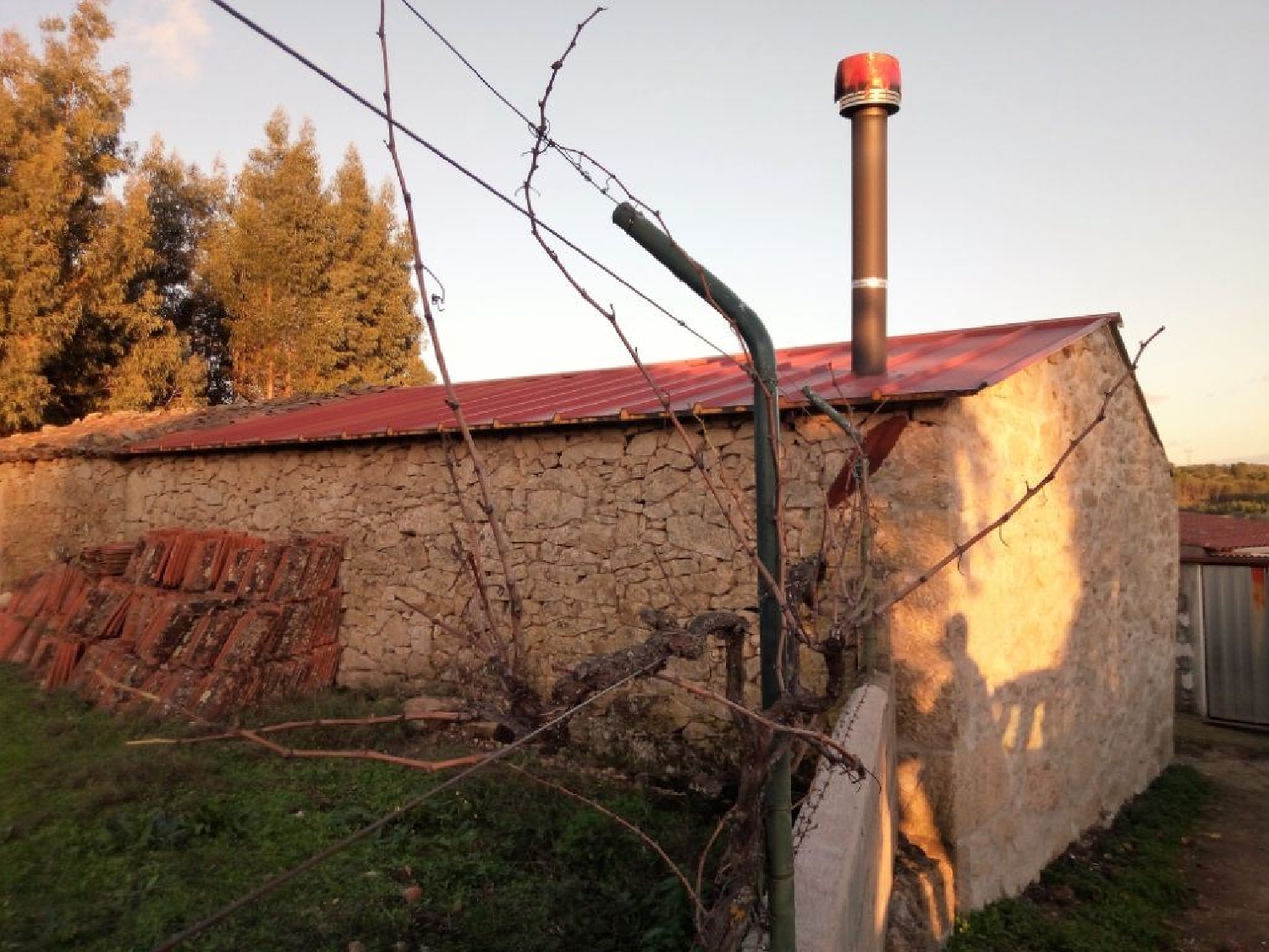 te koop huis Cafede Castelo Branco 2