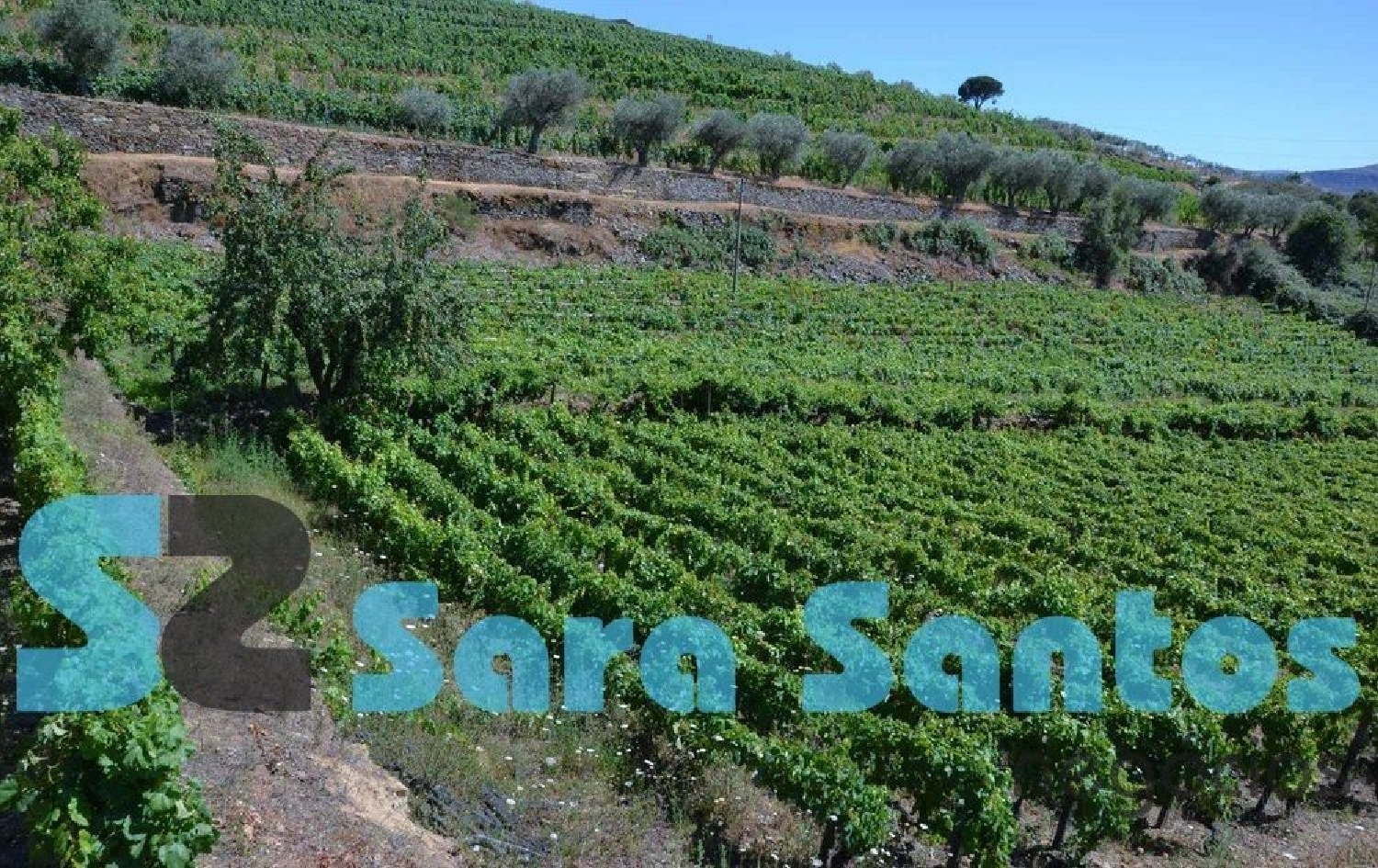  te koop huis Canelas Peso Da Régua 1